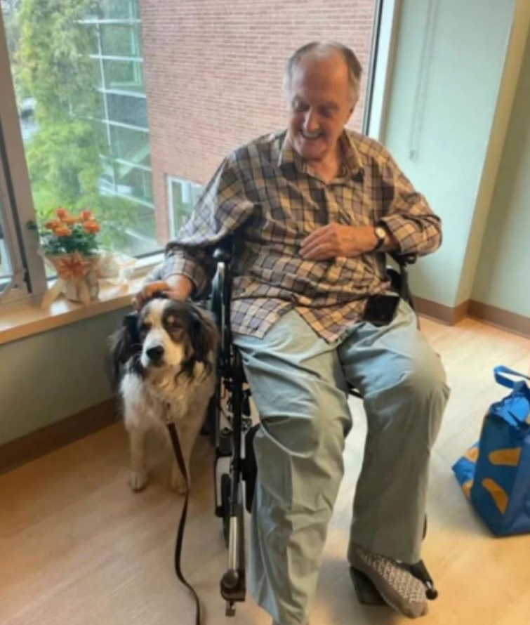 Хоробрий пес врятував життя своєму господарю, який помирав: він чітко зрозумів, що треба зробити